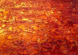 Embers of Dawn